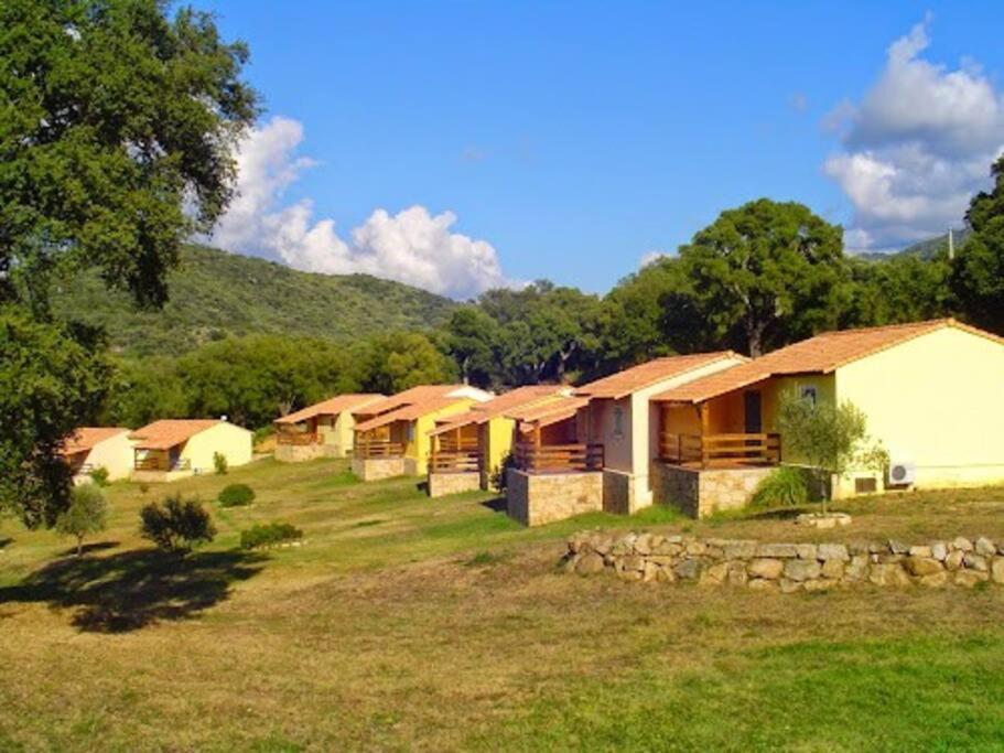 Maison Au Calme Avec Piscine Et Climatisation * Sollacaro