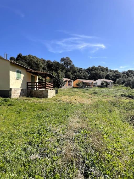 Maison Au Calme Avec Piscine Et Climatisation Hébergement de vacances